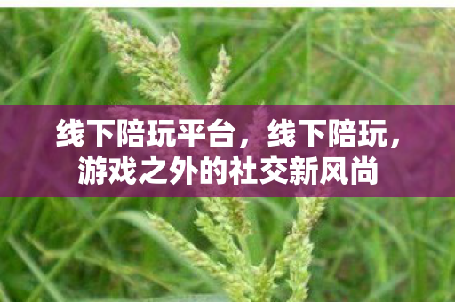 游戏之外的社交新风尚图片