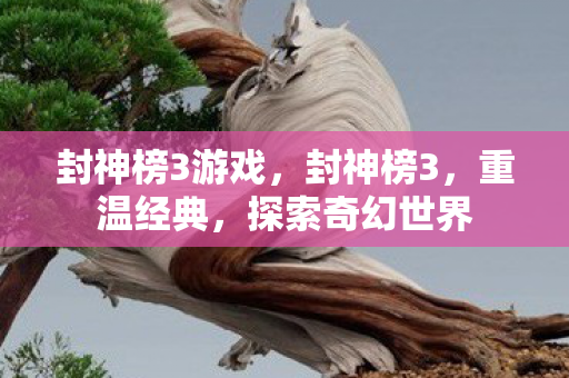 封神榜3游戏图片