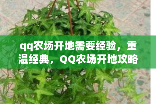 QQ农场开地攻略与回忆图片