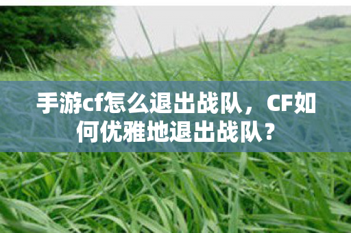CF如何优雅地退出战队图片