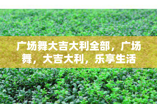 广场舞大吉大利全部图片