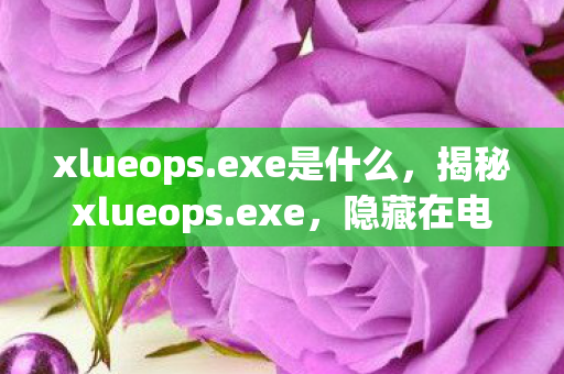 隐藏在电脑中的神秘程序图片