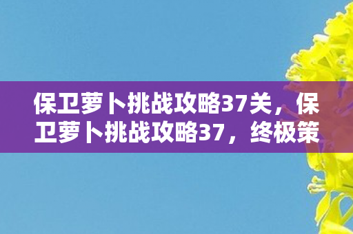 保卫萝卜挑战攻略37关图片