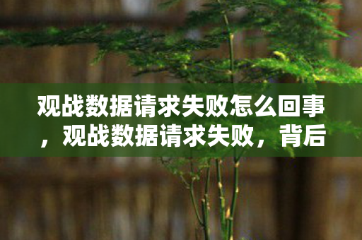 观战数据请求失败怎么回事,观战数据请求失败,背后的原因与解决方案 观战数据请求失败怎么回事,观战数据请求失败,背后的原因与解决方案