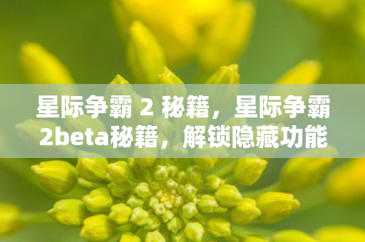 星际争霸2beta秘籍图片
