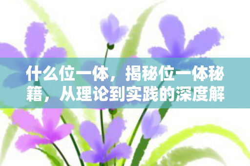 从理论到实践的深度解析图片