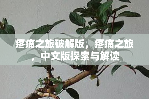 中文版探索与解读图片