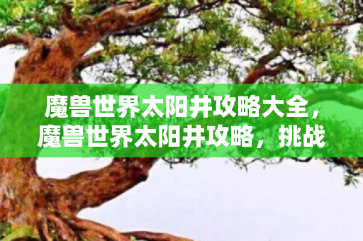 挑战高难度副本的必备指南图片