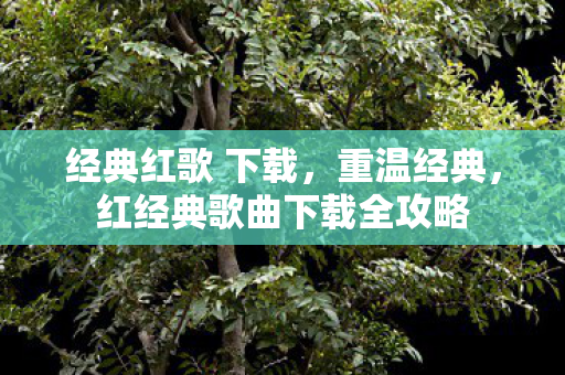 红经典歌曲下载全攻略图片