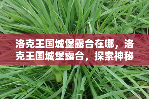 洛克王国城堡露台在哪图片