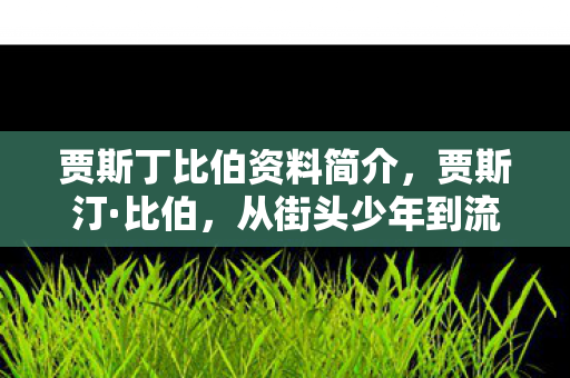 从街头少年到流行天王的蜕变图片