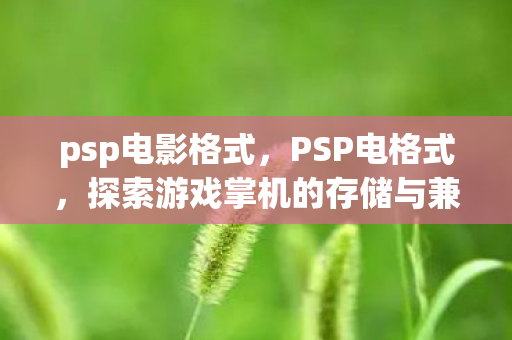 探索游戏掌机的存储与兼容性图片