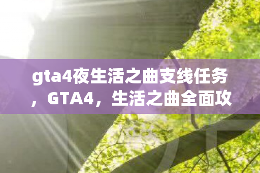 gta4夜生活之曲支线任务图片