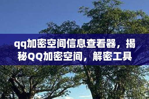 解密工具背后的真相与风险图片