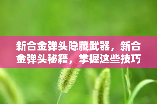 新合金弹头隐藏武器图片