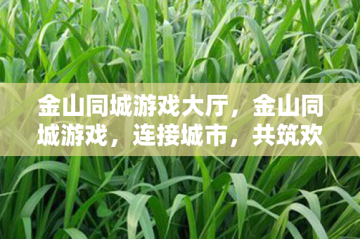 金山同城游戏大厅图片