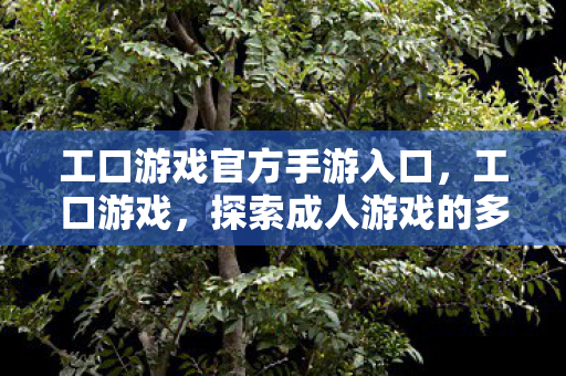 探索成人游戏的多样性与文化图片