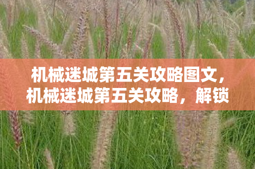 机械迷城第五关攻略图文图片