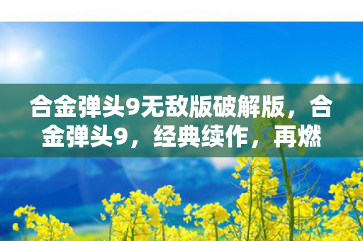 合金弹头9无敌版破解版图片