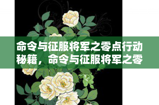 命令与征服将军之零点行动秘籍图片