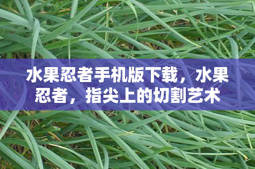 水果忍者手机版下载图片