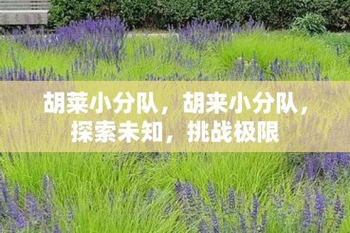 胡莱小分队图片