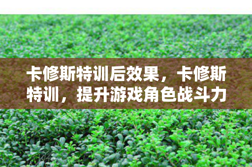 提升游戏角色战斗力的关键步骤图片