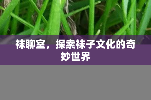 探索袜子文化的奇妙世界图片