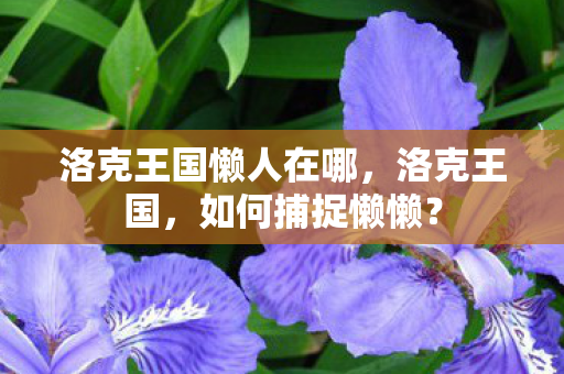 洛克王国懒人在哪图片