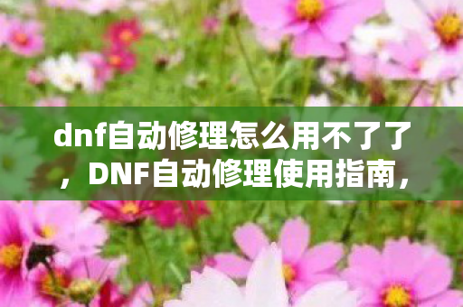dnf自动修理怎么用不了了图片