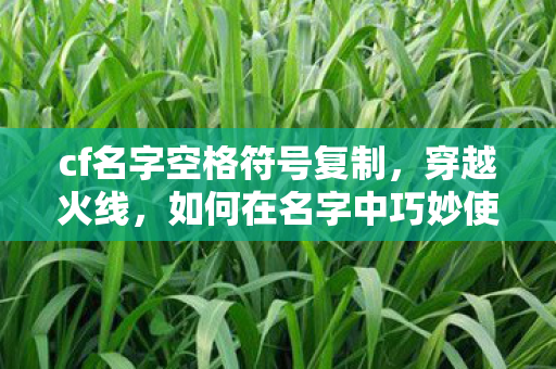 如何在名字中巧妙使用空格图片