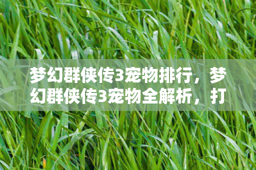 梦幻群侠传3宠物全解析图片