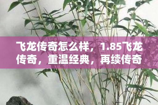 飞龙传奇怎么样图片