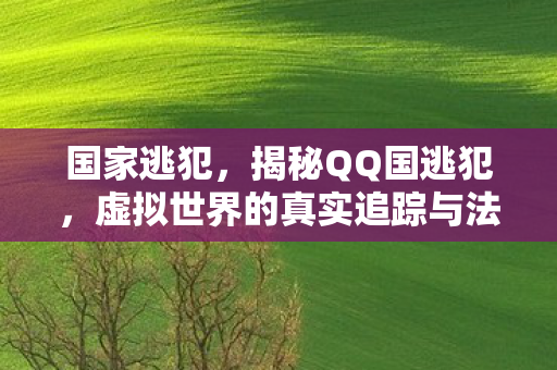 虚拟世界的真实追踪与法治挑战图片