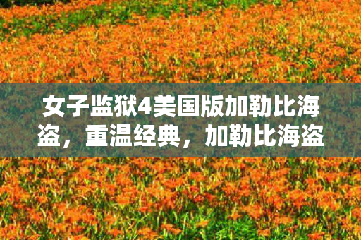 女子监狱4美国版加勒比海盗,重温经典,加勒比海盗的传奇故事 女子监狱4美国版加勒比海盗,重温经典,加勒比海盗的传奇故事