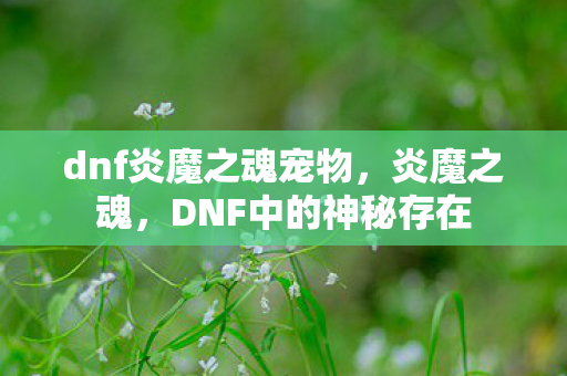 dnf炎魔之魂宠物图片