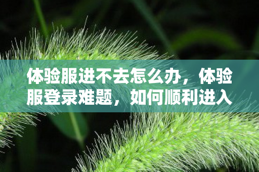 体验服进不去怎么办图片