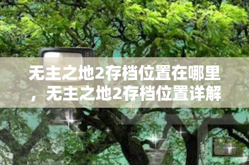 无主之地2存档位置在哪里，无主之地2存档位置详解，如何找到并管理你的游戏进度