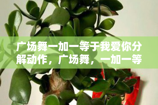 广场舞一加一等于我爱你分解动作图片