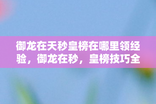 御龙在天秒皇榜在哪里领经验图片