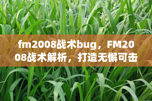 fm2008战术bug图片