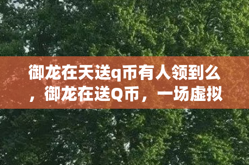 御龙在天送q币有人领到么图片