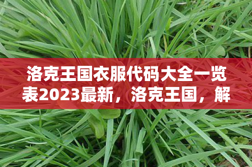 洛克王国衣服代码大全一览表2023最新图片