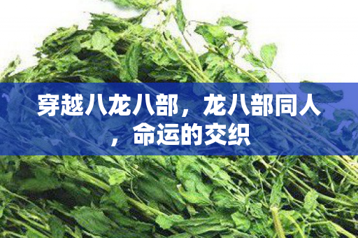 穿越八龙八部，龙八部同人，命运的交织