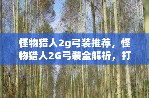 怪物猎人2G弓装全解析图片