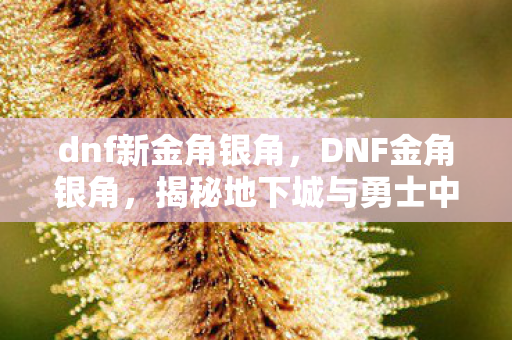 揭秘地下城与勇士中的神秘存在图片