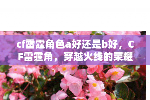 cf雷霆角色a好还是b好图片