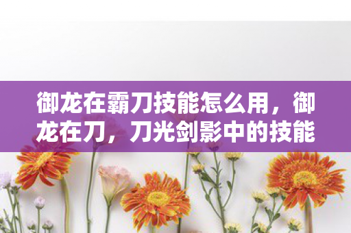 御龙在霸刀技能怎么用图片