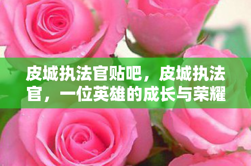 一位英雄的成长与荣耀图片