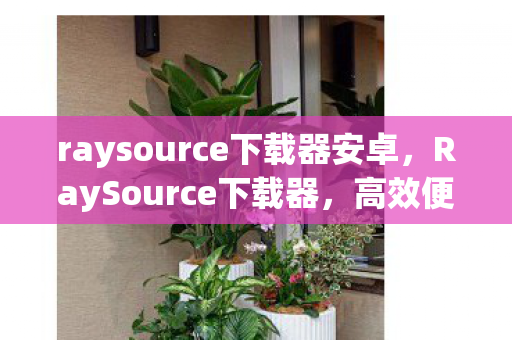 raysource下载器安卓图片